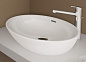 Раковина-чаша Laufen Pro 52x39 см 8.1296.4.400.109.1 | С LCC покрытием